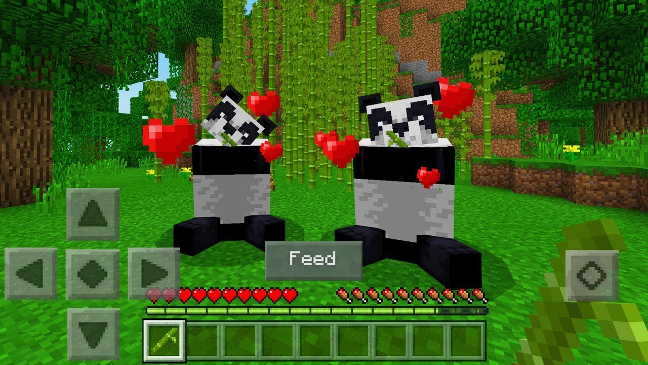 how to tame a panda in minecraft java