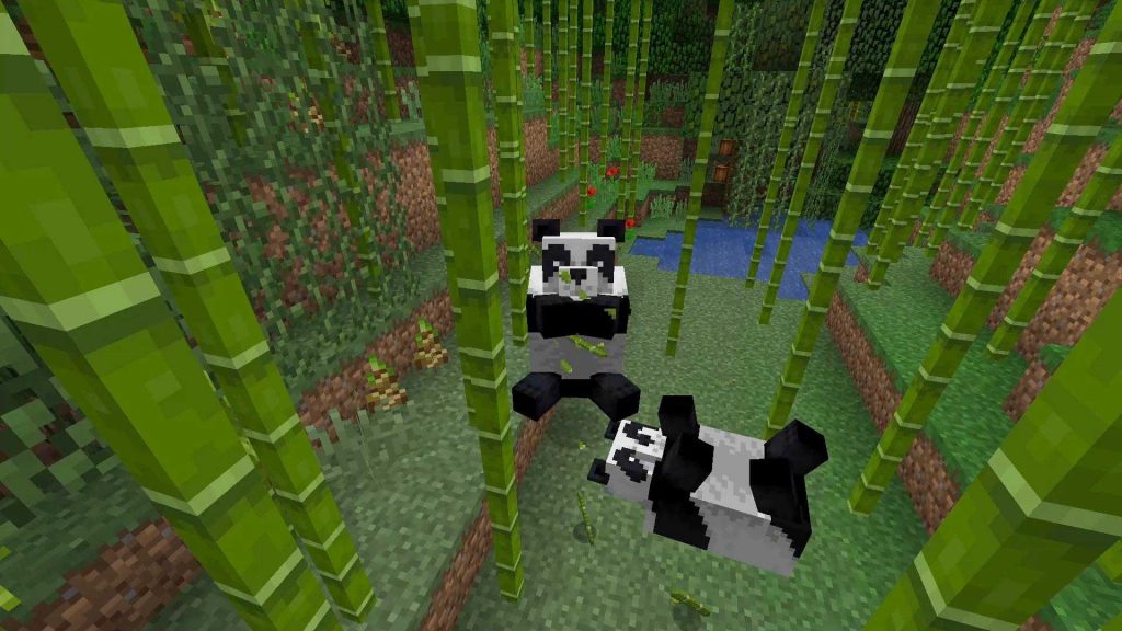 A Guide To How To Tame Pandas In Minecraft 2021